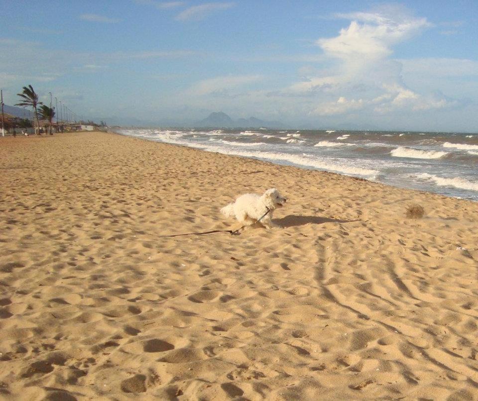 Casa De Praia - Verao Vermelho I - Cabo Frio - Unamar Exteriér fotografie